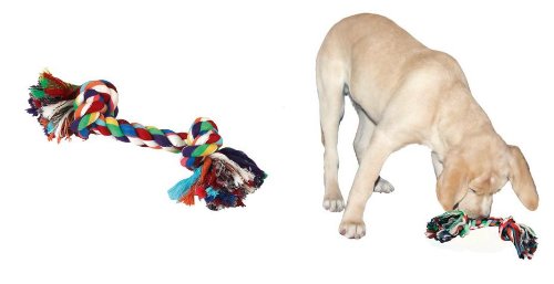kerbl-corde-n-uds-pour-chien-coton-48-cm image 5