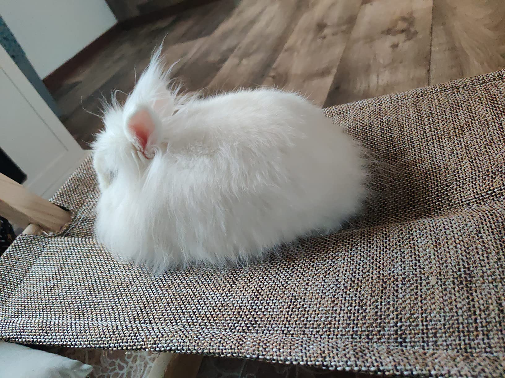 Joli et confortable