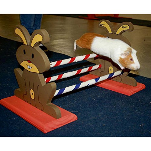 kerbl-pet-obstacle-agility-pour-rongeur-62-x-33-x-34-cm-bois-et-plastique image 7