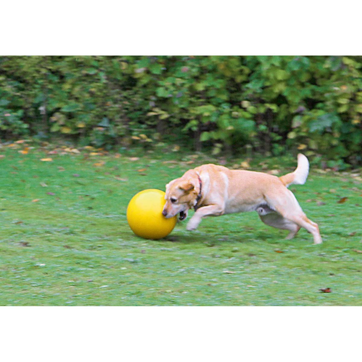 kerbl-balle-flottante-pour-chien-jaune-30-cm-800-g-plastique-robuste-made-in-ger image 2