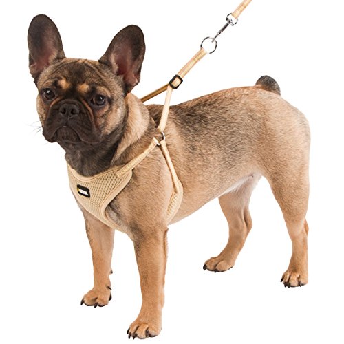 kerbl-pet-harnais-pour-chiots-beige-30-50cm-10mm-avec-laisse-120cm-lot-de-3 image 3