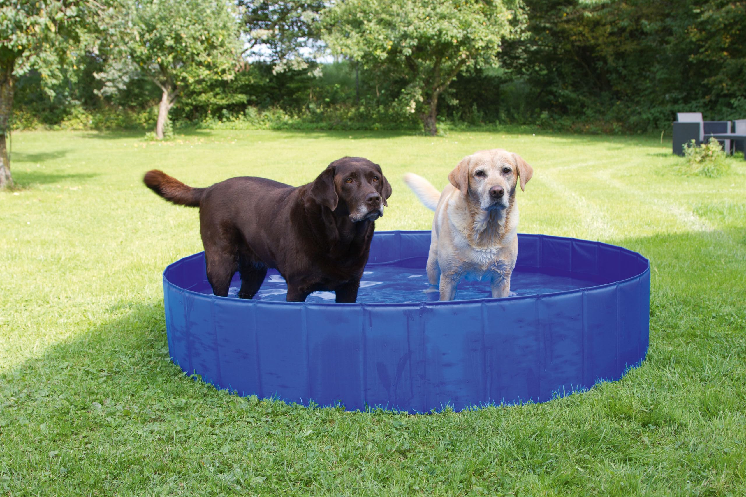 kerbl-82262-piscine-pour-chien-120-cm-hauteur-30-cm-255-l image 6