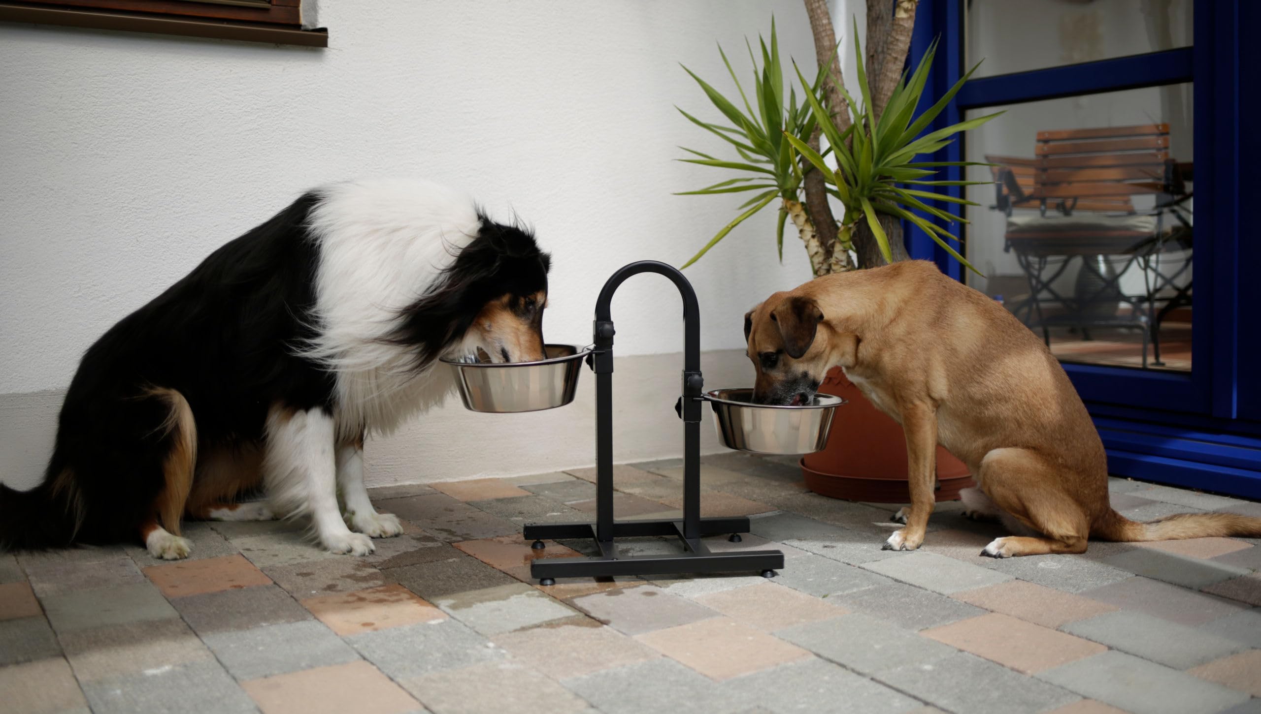 kerbl-bar-aliments-deluxe-pour-chien-2-x-2800-ml-hauteur-r-glable-52-cm-inox image 5