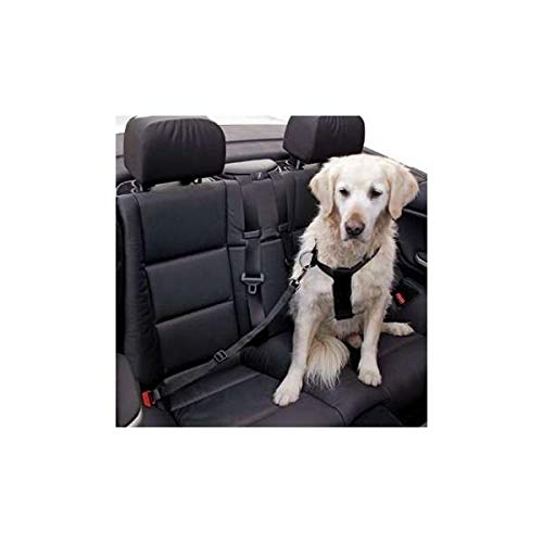 kerbl-ceinture-de-s-curit-r-glable-pour-chien-voiture image 3