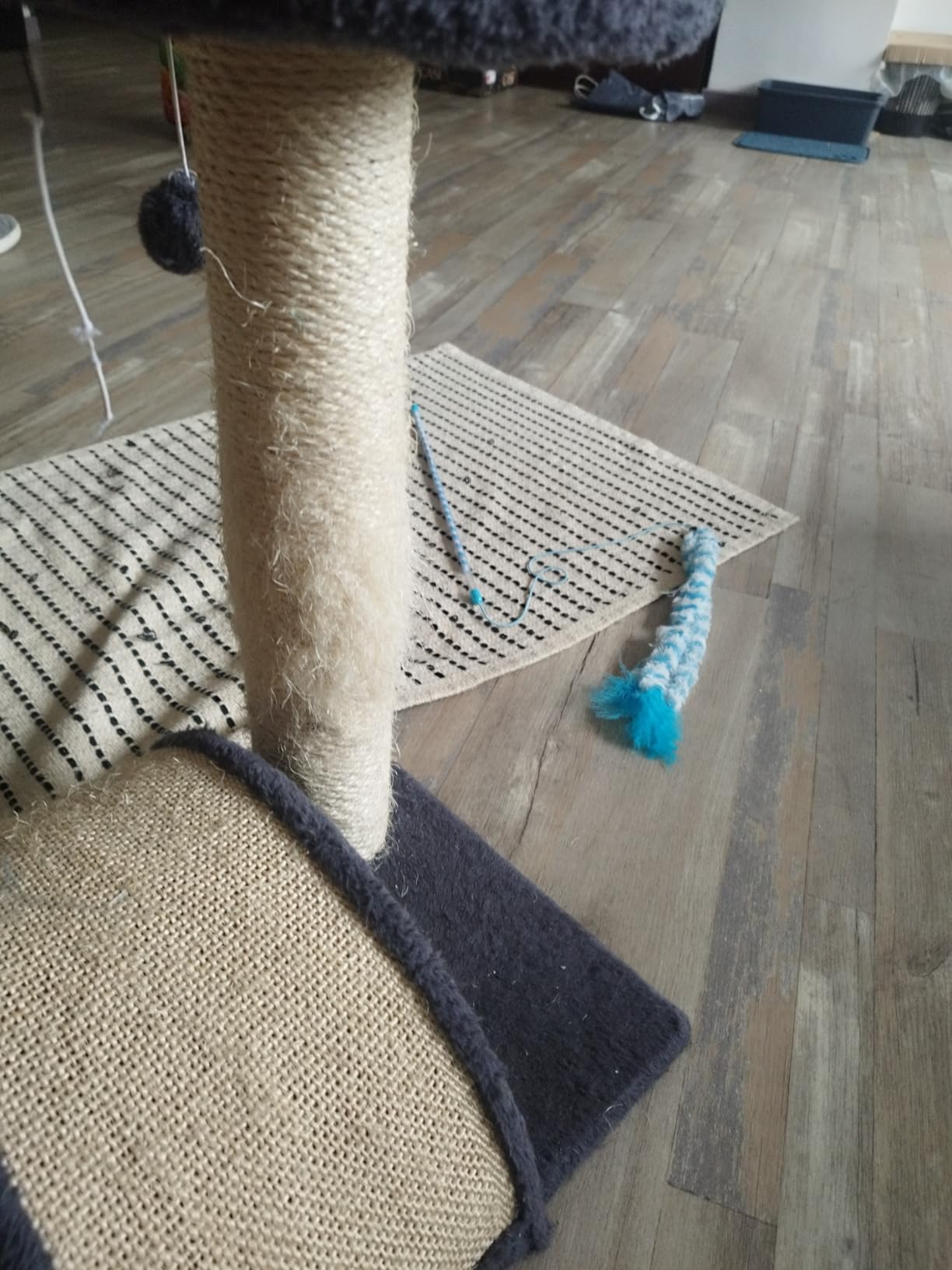 A sauvé notre arbre à chat