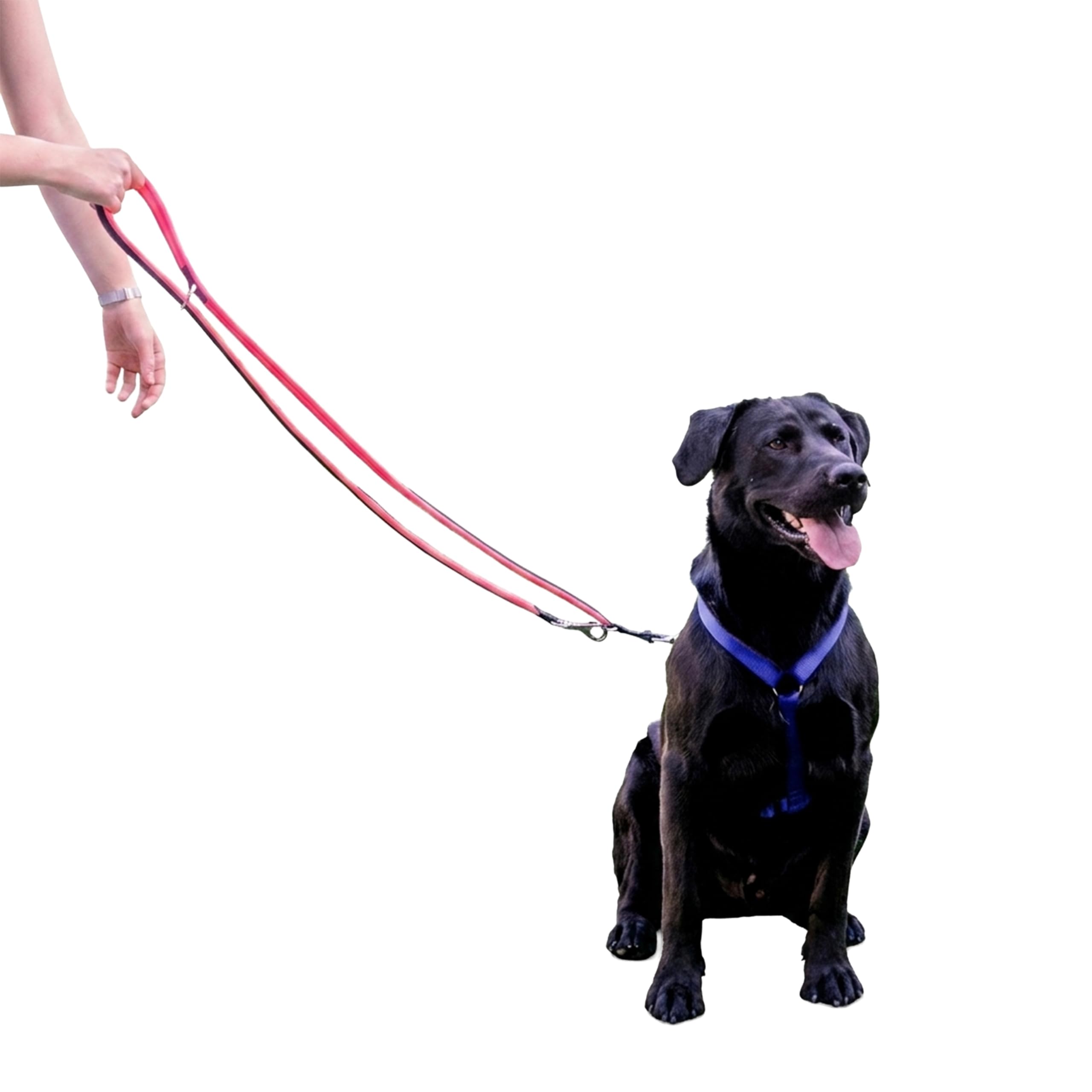ferplast-ergofluo-laisse-de-dressage-chien-grande-taille-200-cm-rose image 8