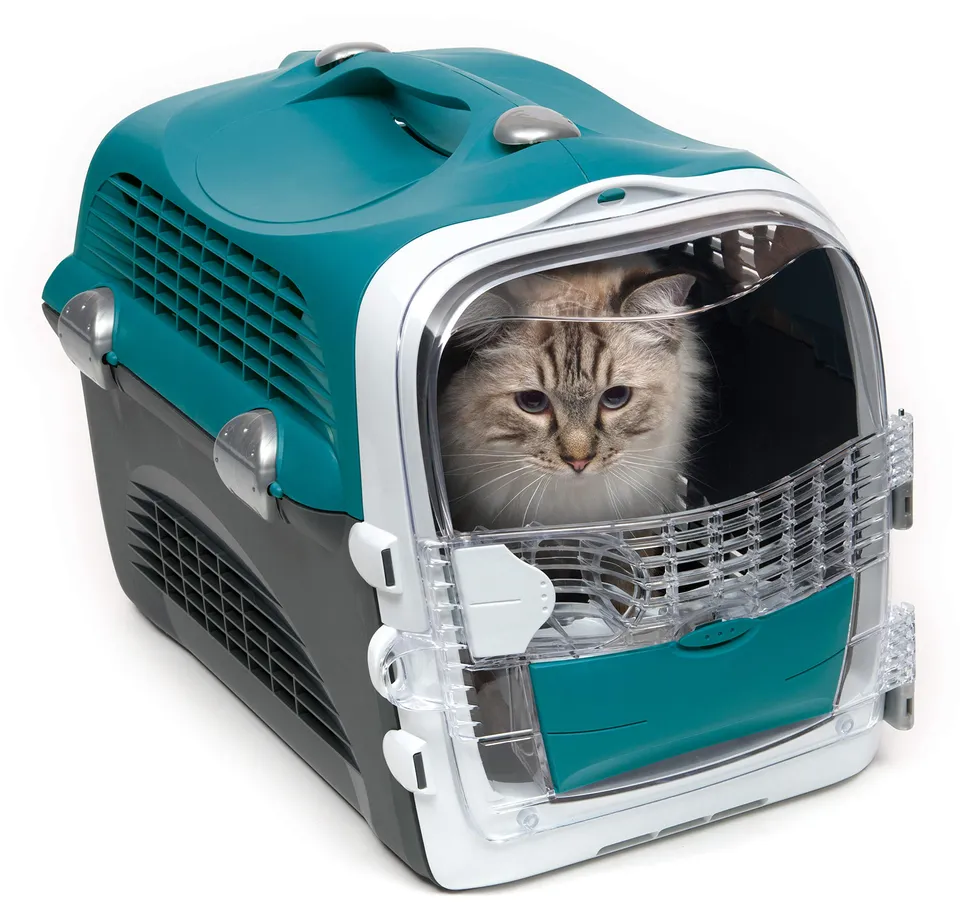 catit-design-cabrio-cage-de-transport-chat-turquoise-multifonction image 1