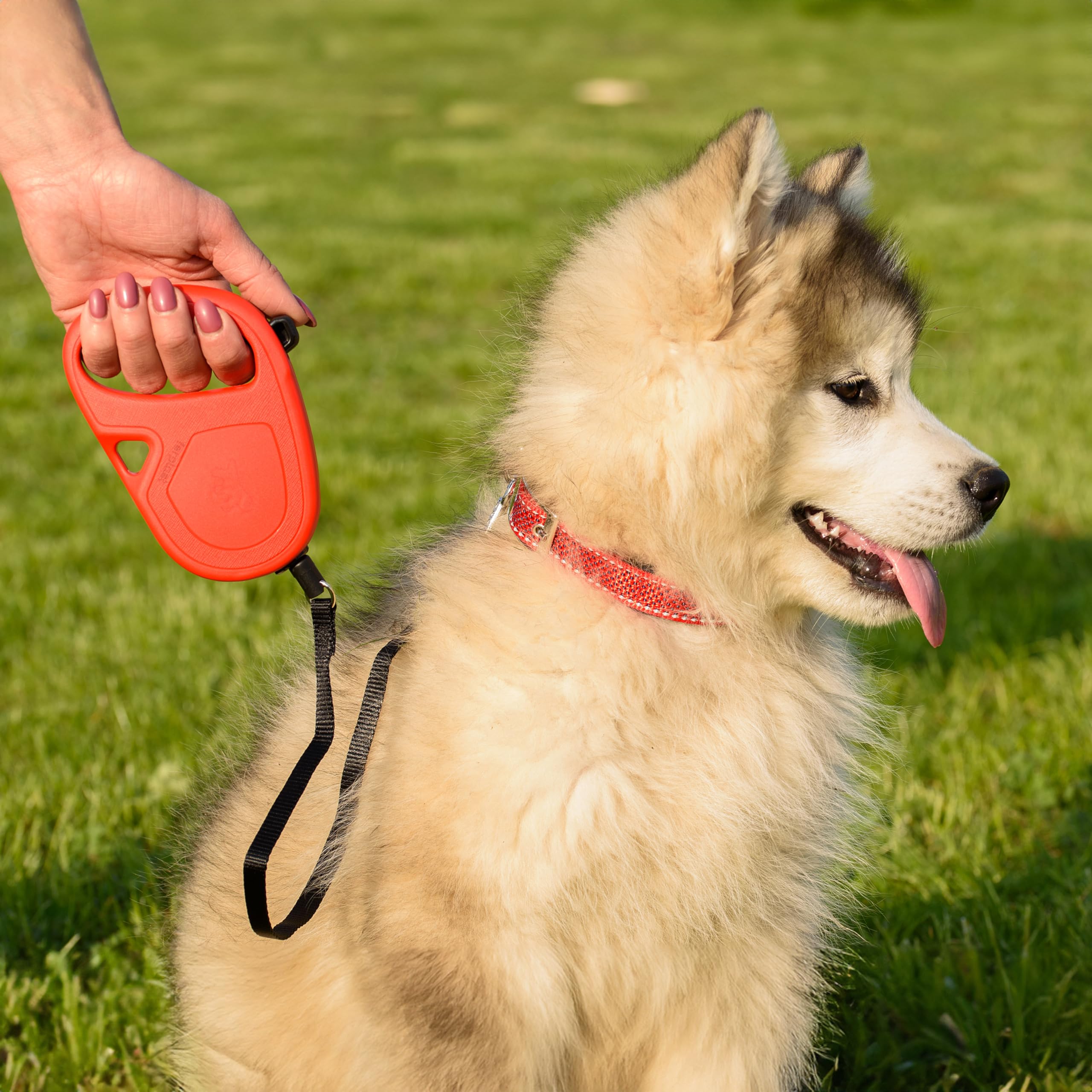 ferplast-flippy-one-laisse-enrouleur-chien-cordon-4-5-m-jusqu-12-kg-bleu-clair image 3