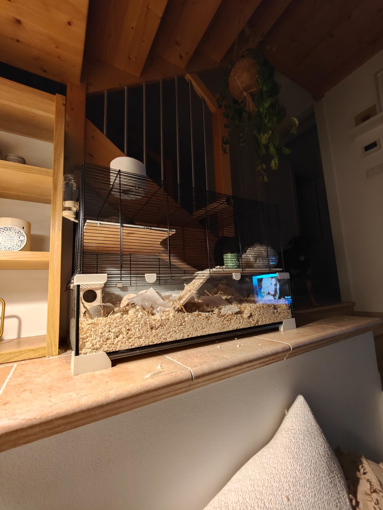 Superbe cage en verre