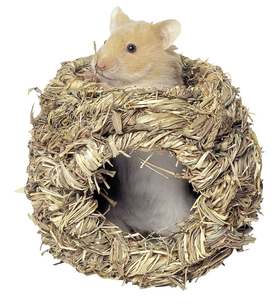 kerbl-pet-nid-d-herbe-rongeurs-10-cm-100-naturel-comestible image 2