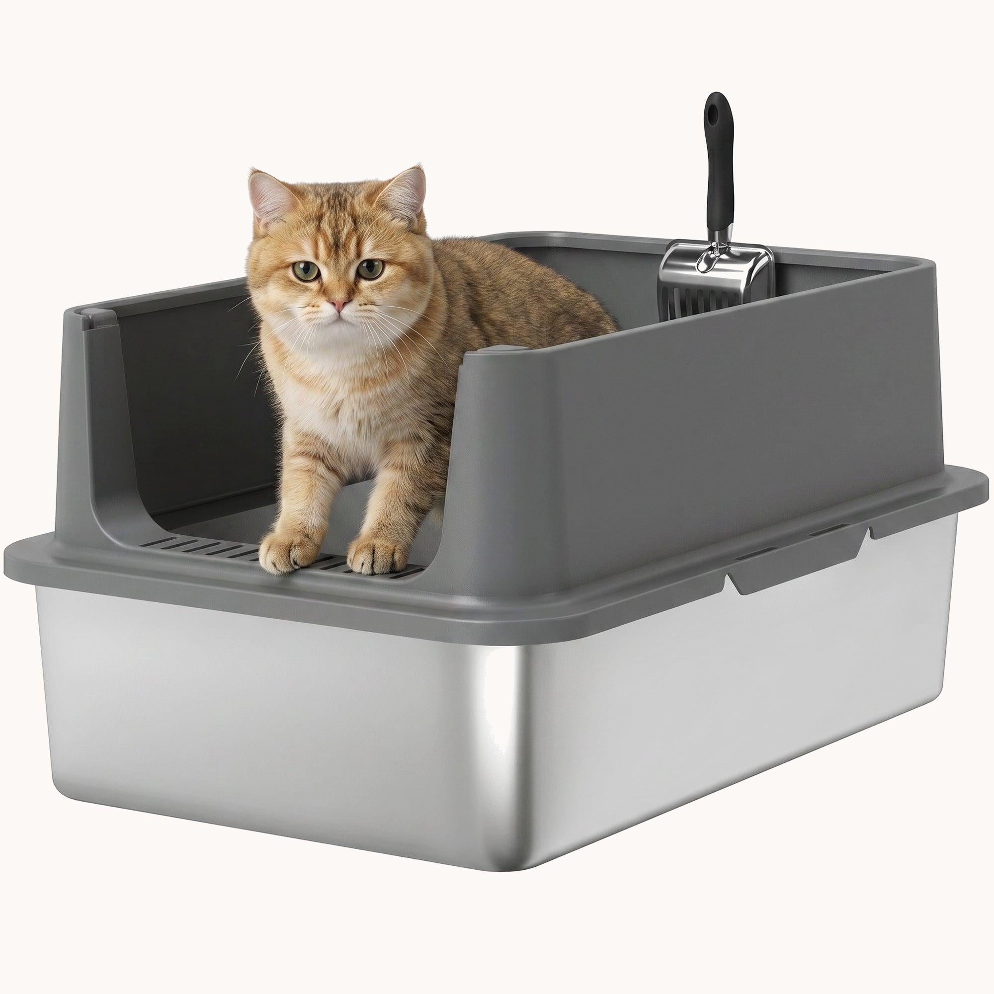 pawhut-liti-re-pour-chat-xl-en-acier-inoxydable-bords-hauts-avec-pelle-et-tapis- image 1