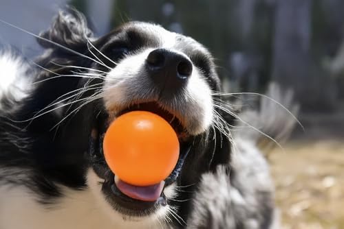 karlie-k-f-balle-en-caoutchouc-pour-chien-grande-60-mm-150-g image 7