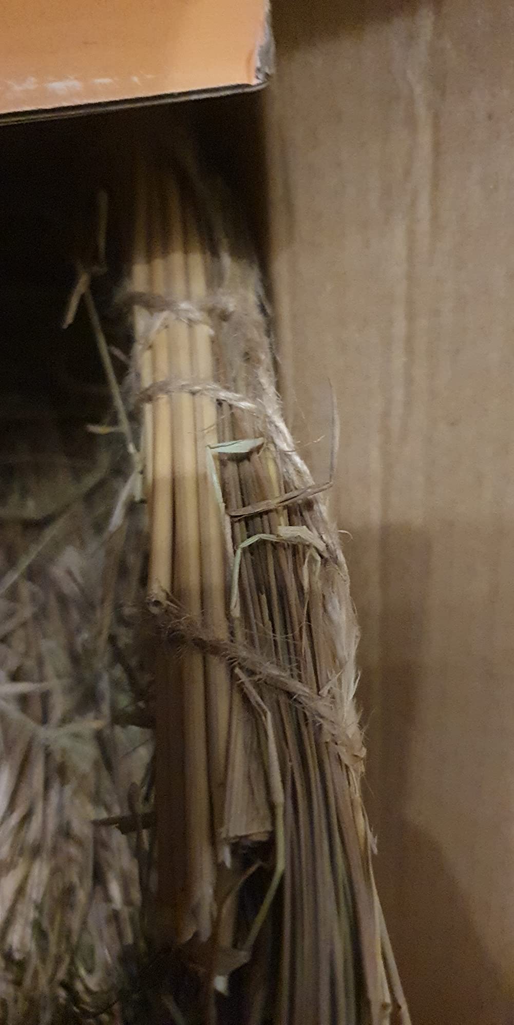 Mes petits l'adorent