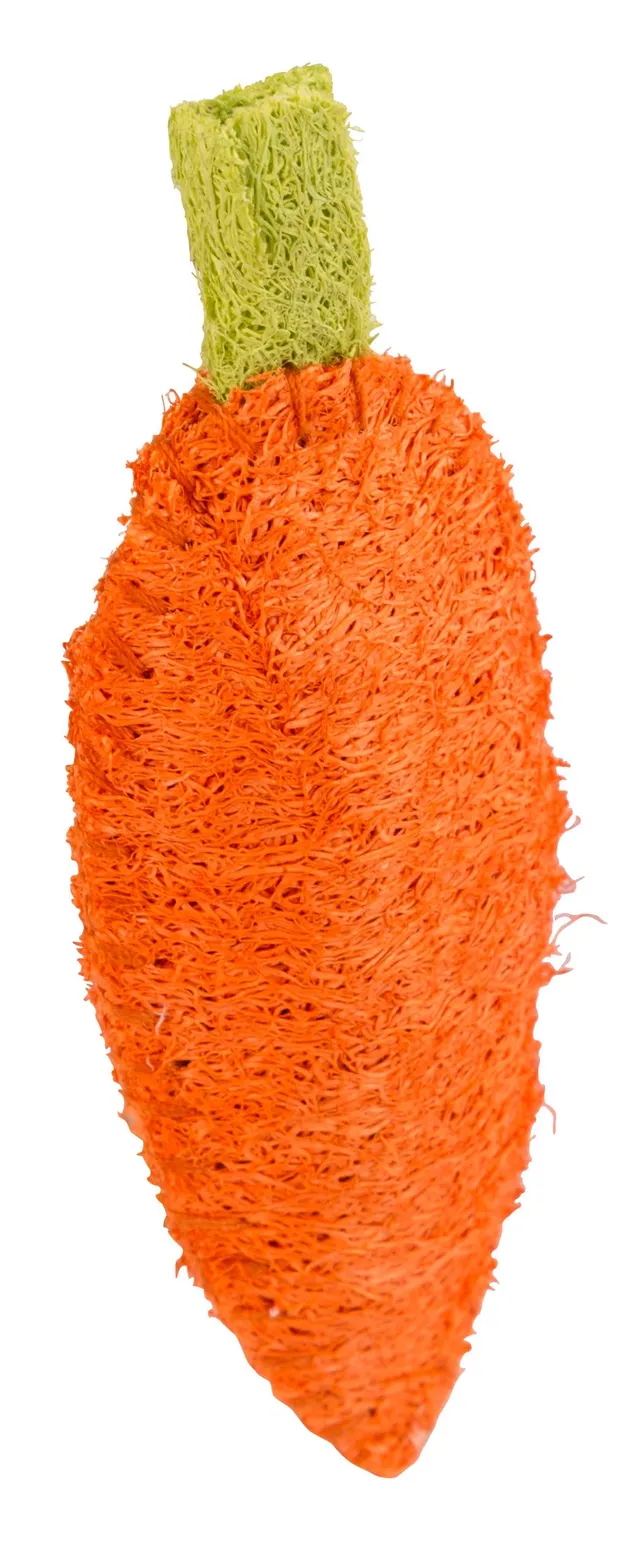 kerbl-carotte-en-luffa-pour-petit-animal-10-cm image 1