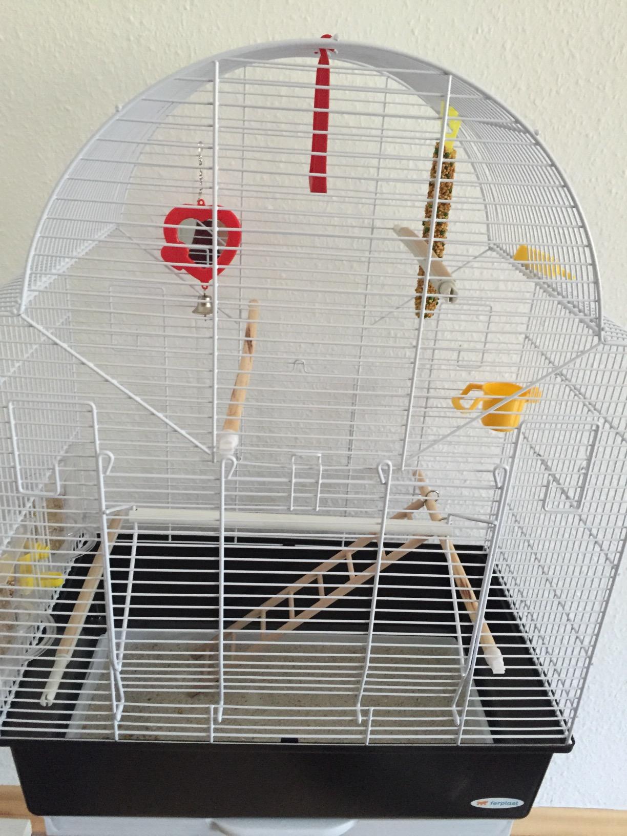 Parfaite pour mes canaris