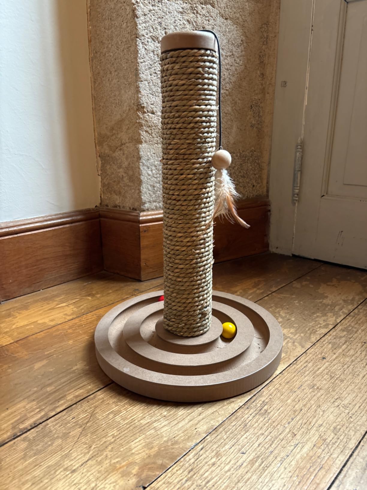 Idéal pour chaton