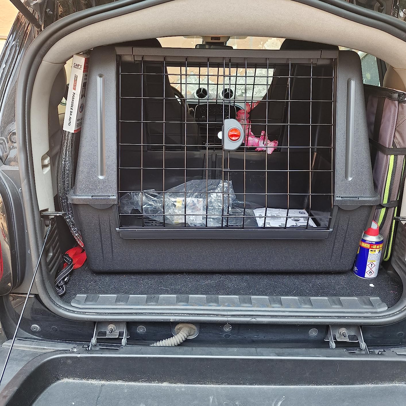 Correcte pour gros chien calme