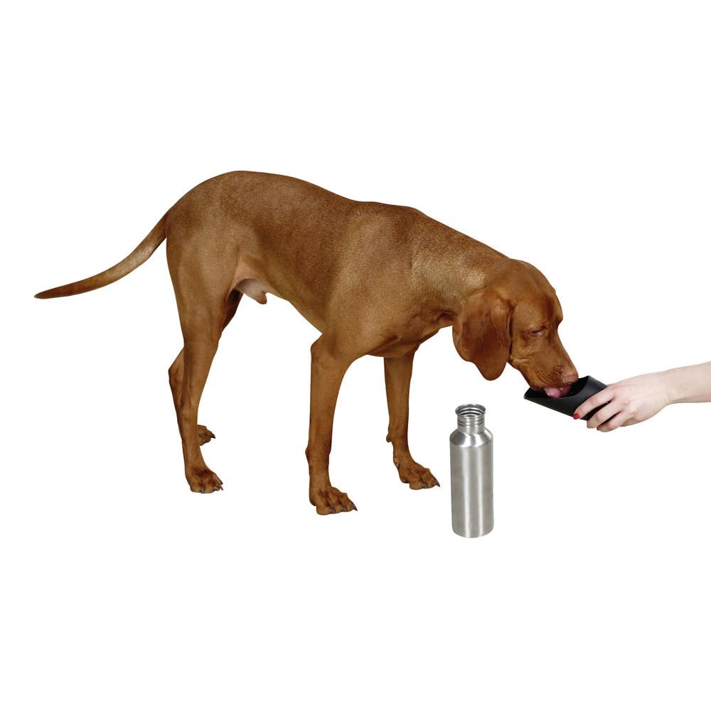 kerbl-pet-bouteille-de-voyage-inox-750ml-distributeur-eau-chien image 3