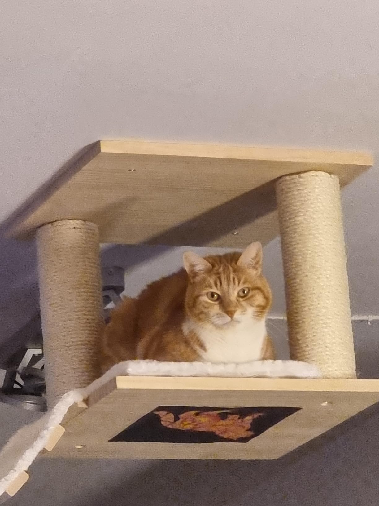 Idéal pour petit appartement