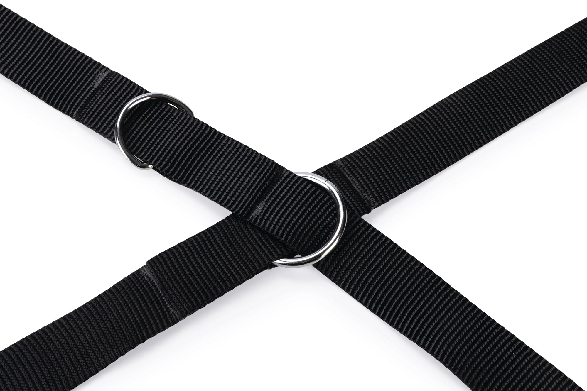karlie-art-sportiv-basic-laisse-d-entra-nement-chien-nylon-noir-200-cm-x-25-mm image 2