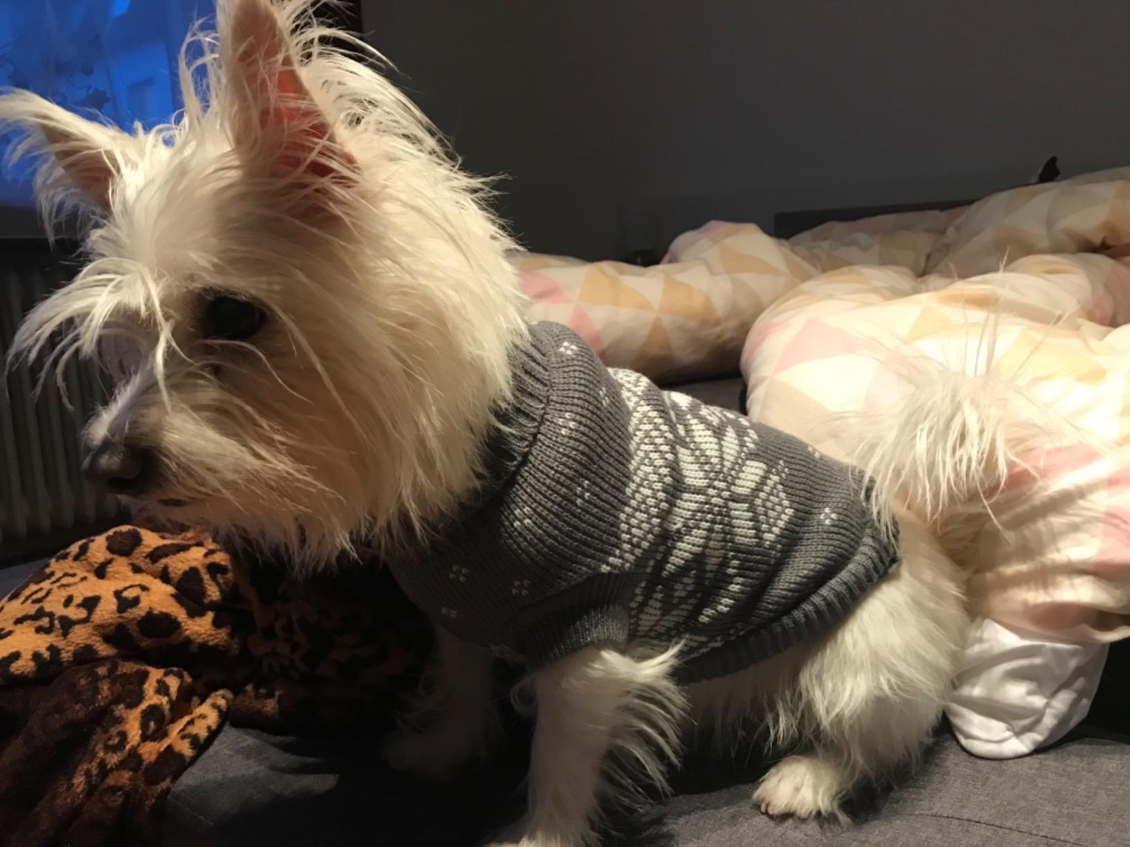Bien pour l'automne
