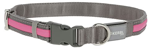 kerbl-pet-collier-lumineux-light-reflex-gris-jaune-fluo-35-50-cm-20-mm image 4