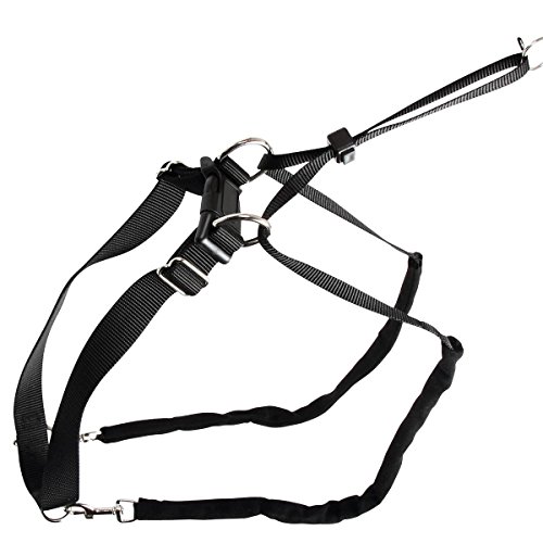 kerbl-maxi-leader-harnais-chien-55-80-cm-noir image 5
