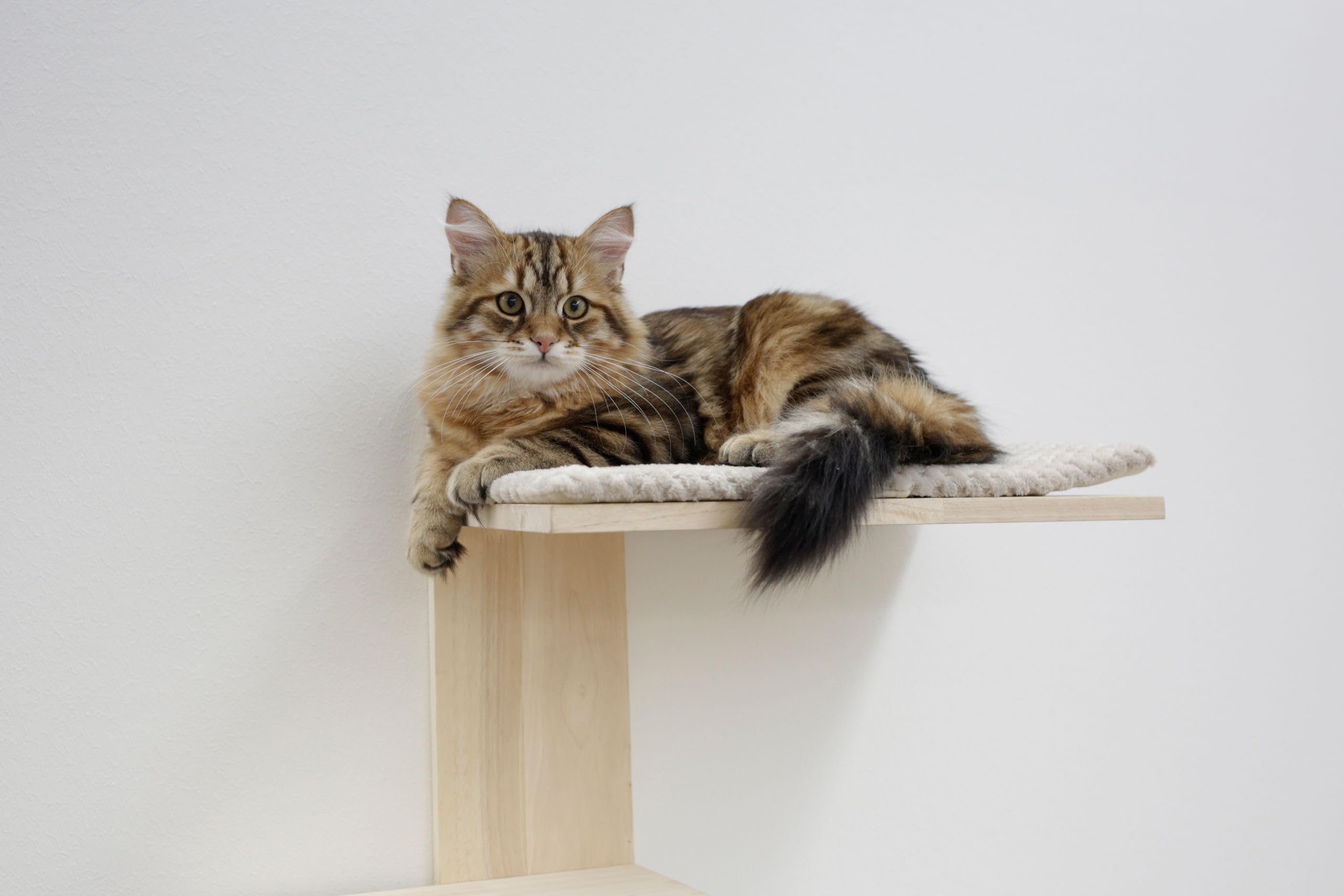 kerbl-pet-timber-arbre-chat-mural-150-cm-bois-massif-3-couchages image 3