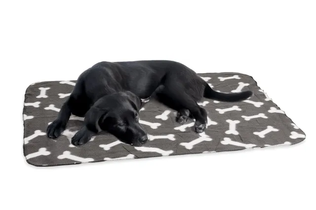 karlie-flamingo-couverture-polaire-chien-et-chat-grise-100-x-70-cm image 1