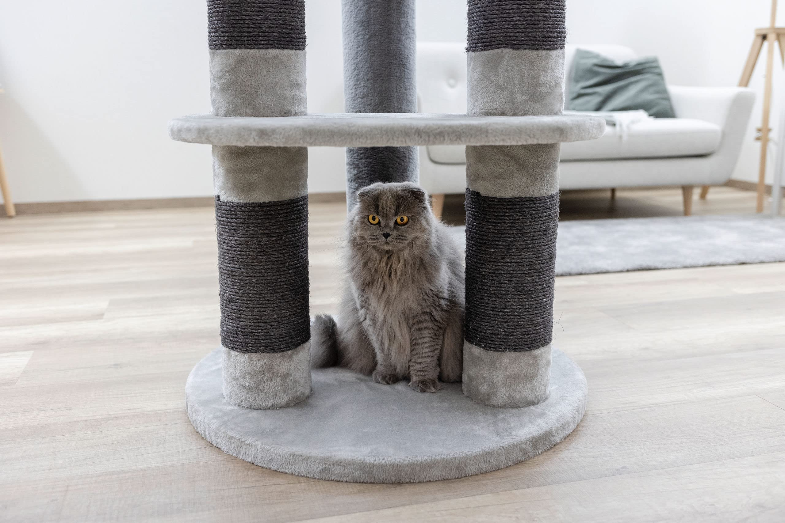 kerbl-pet-arbre-chat-benji-70x70x146-cm-pour-grands-chats image 4