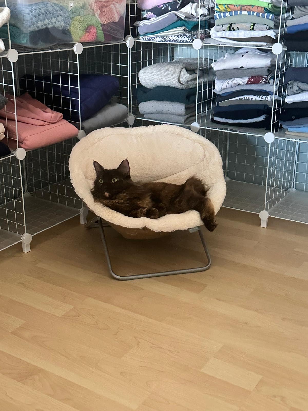 Parfait pour chat frileux