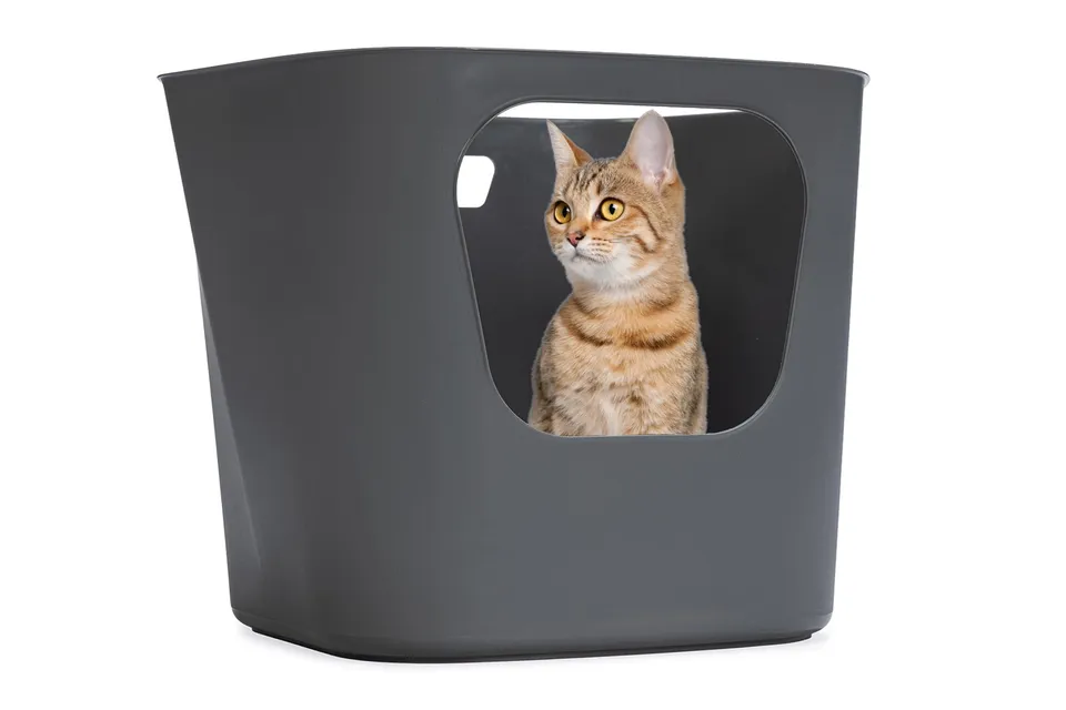 karlie-lotus-eco-bac-liti-re-gris-54-4x43-9xh-40-5-cm image 1