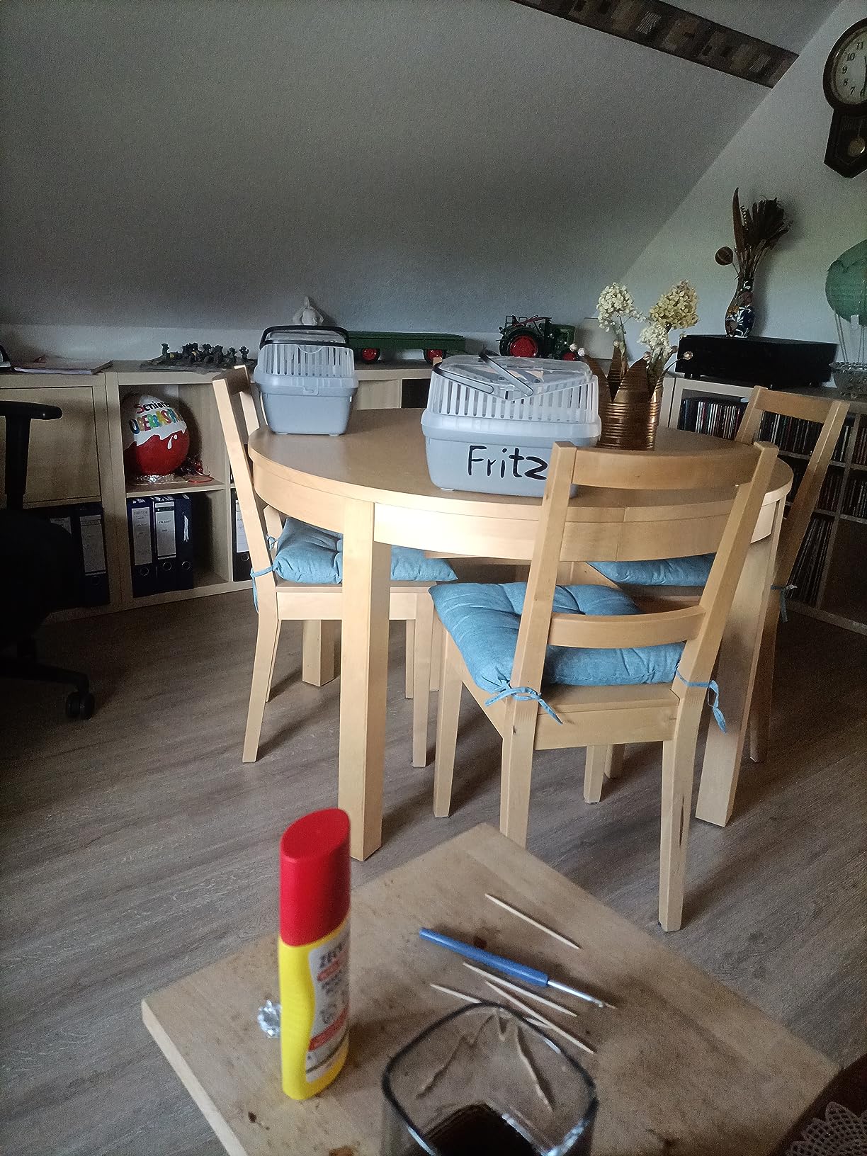 Parfaite pour le véto