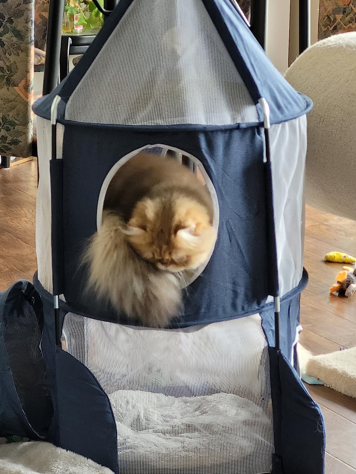 Top pour deux chats