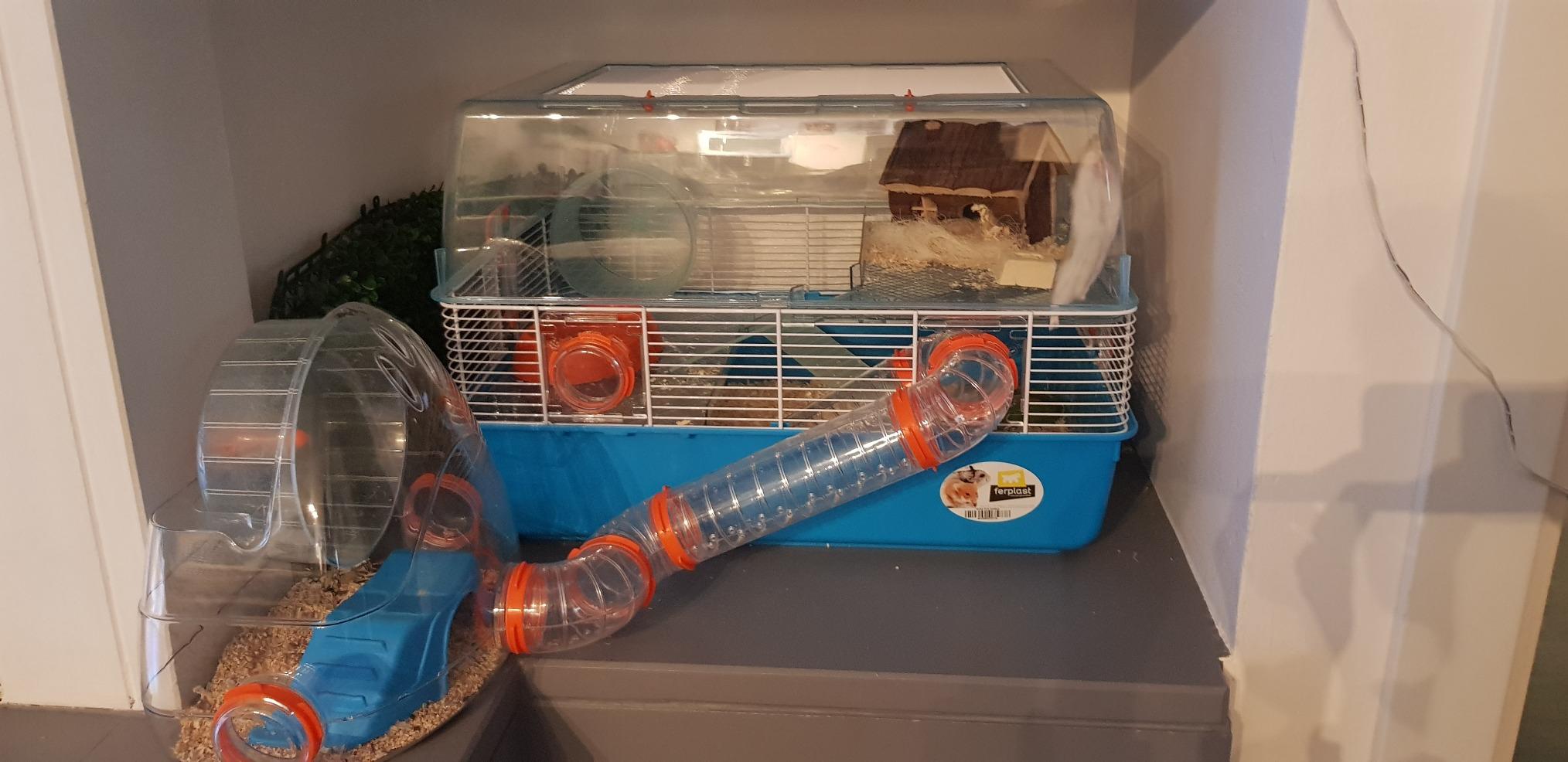 Mon hamster adore