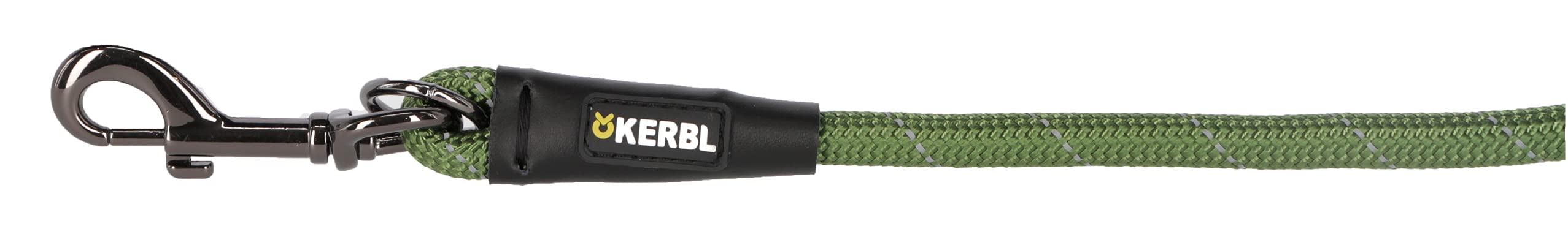 kerbl-pet-laisse-pour-chien-seoul-verte-200cm-10mm image 3