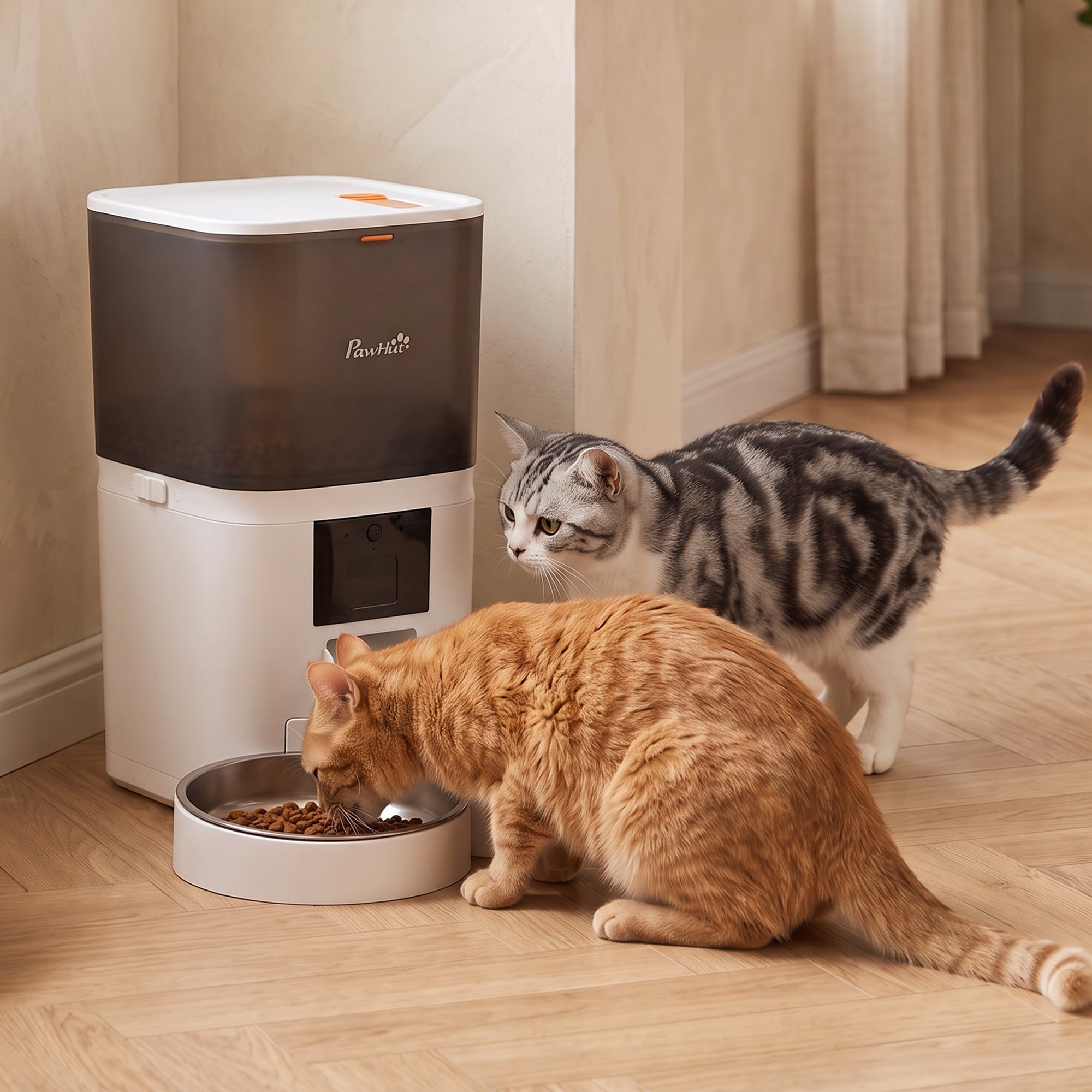 pawhut-distributeur-croquettes-chat-automatique-6l-connect-avec-double-bol image 3