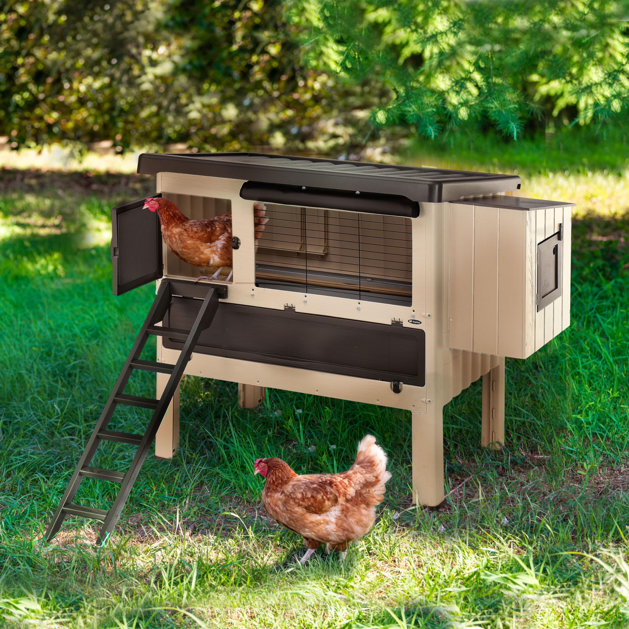 ferplast-happy-farm-120-poulailler-d-ext-rieur-en-r-sine-pour-6-poules-140-x-139 image 3
