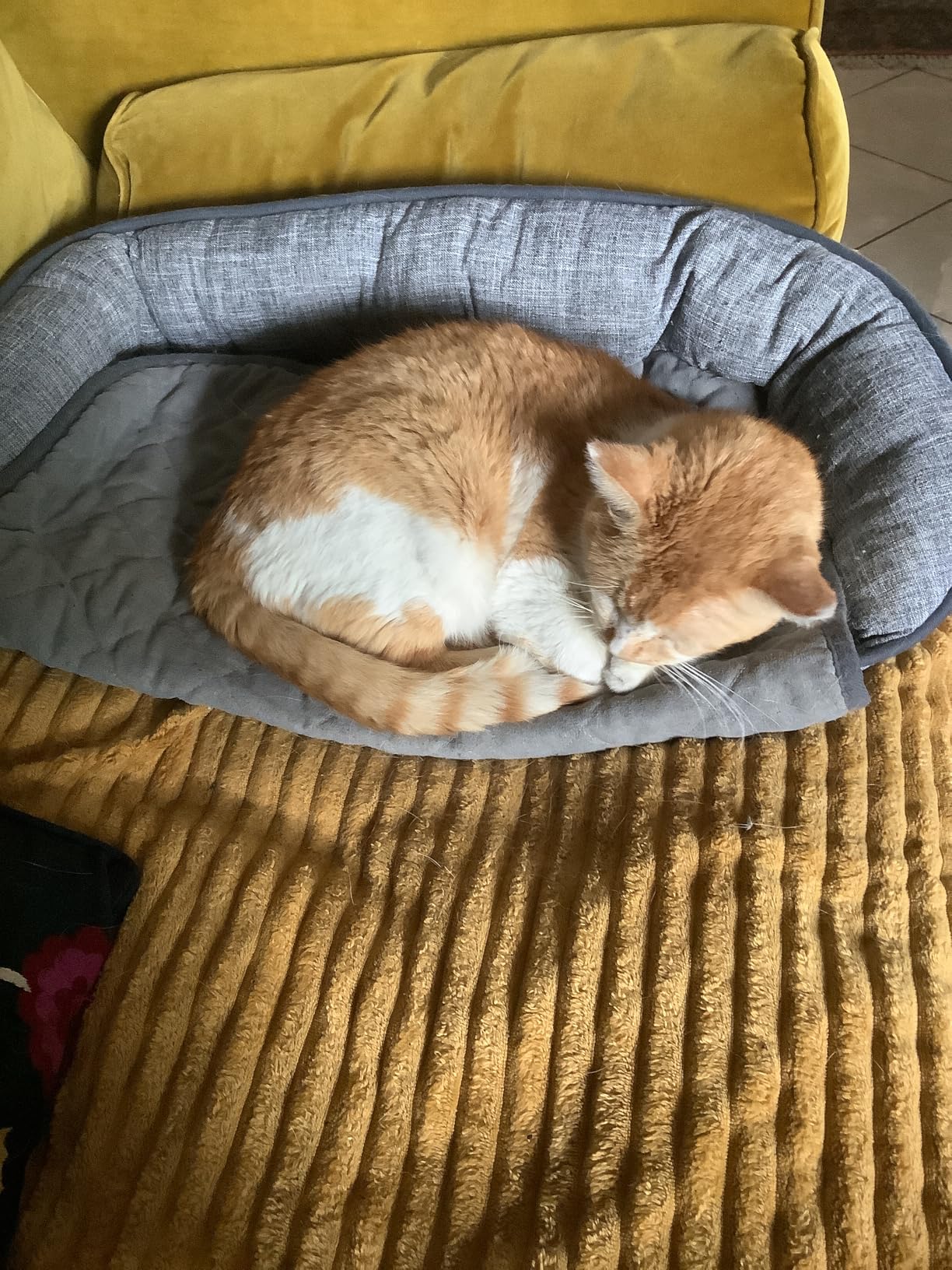 Confortable et joli