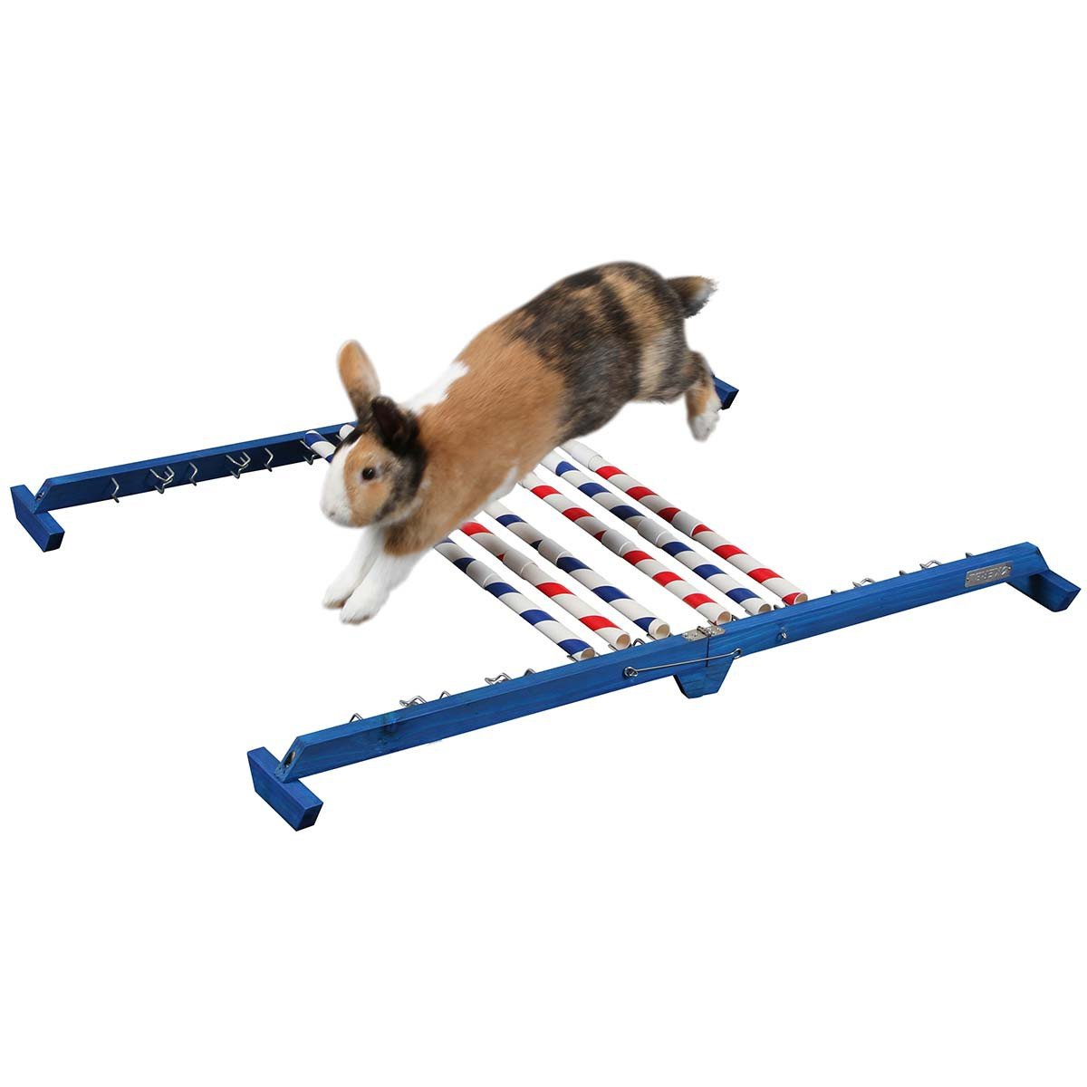 kerbl-2208368-obstacle-d-agility-53-cm-r-glable image 3