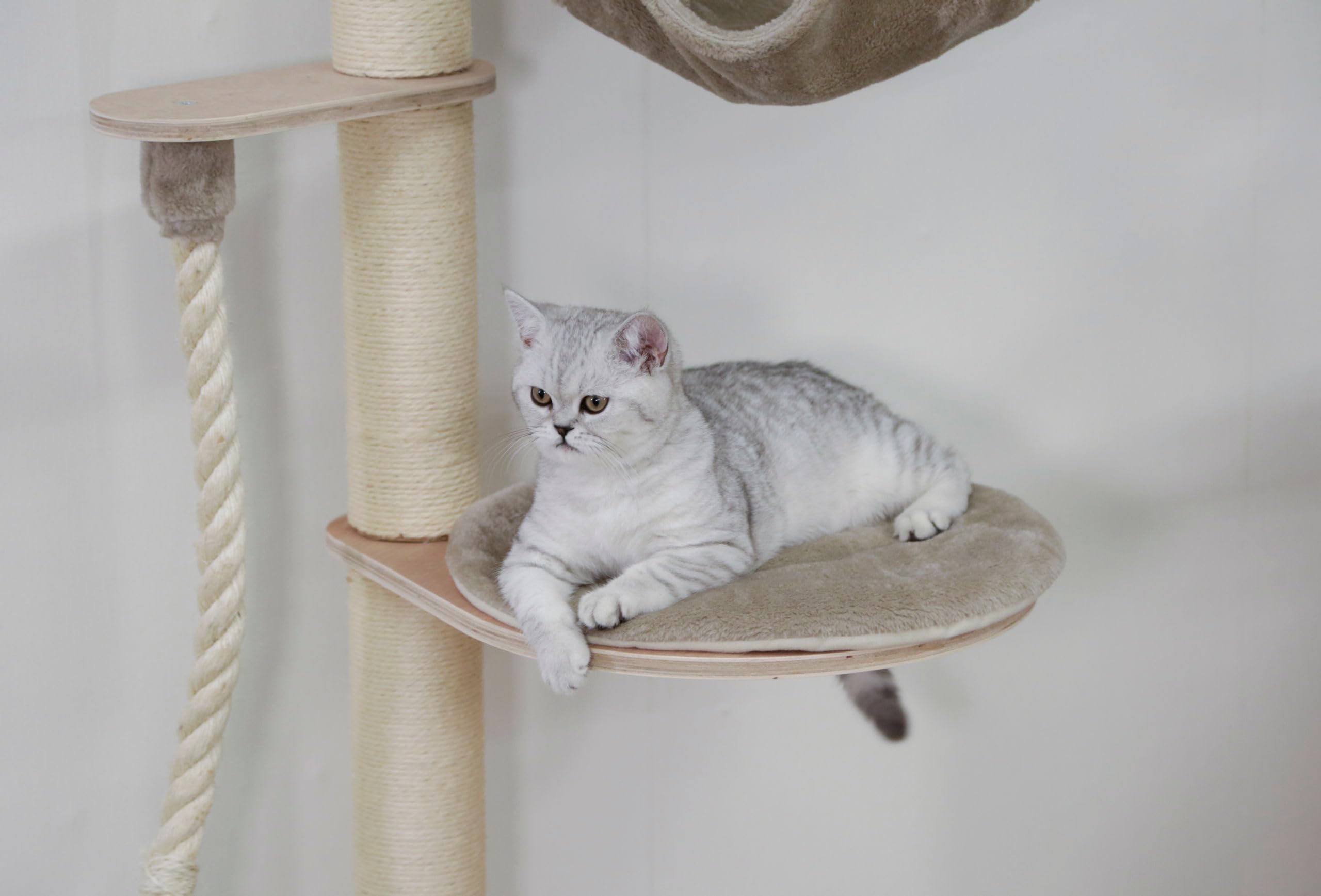 kerbl-pet-arbre-chat-dolomit-grappa-fixation-murale-taupe-80x66x158-cm image 2