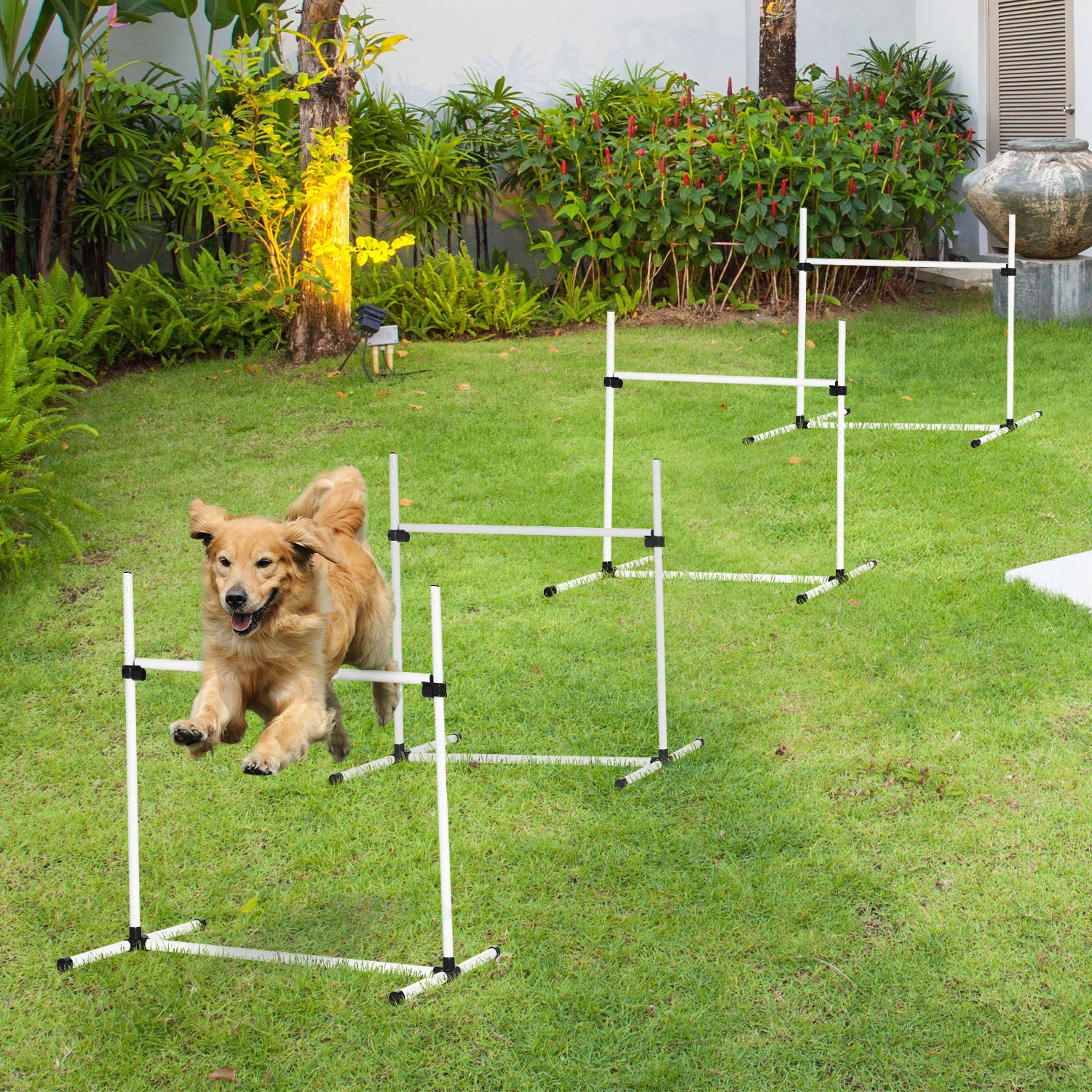 pawhut-kit-agility-4-haies-r-glables-blanc-pour-chiens image 4