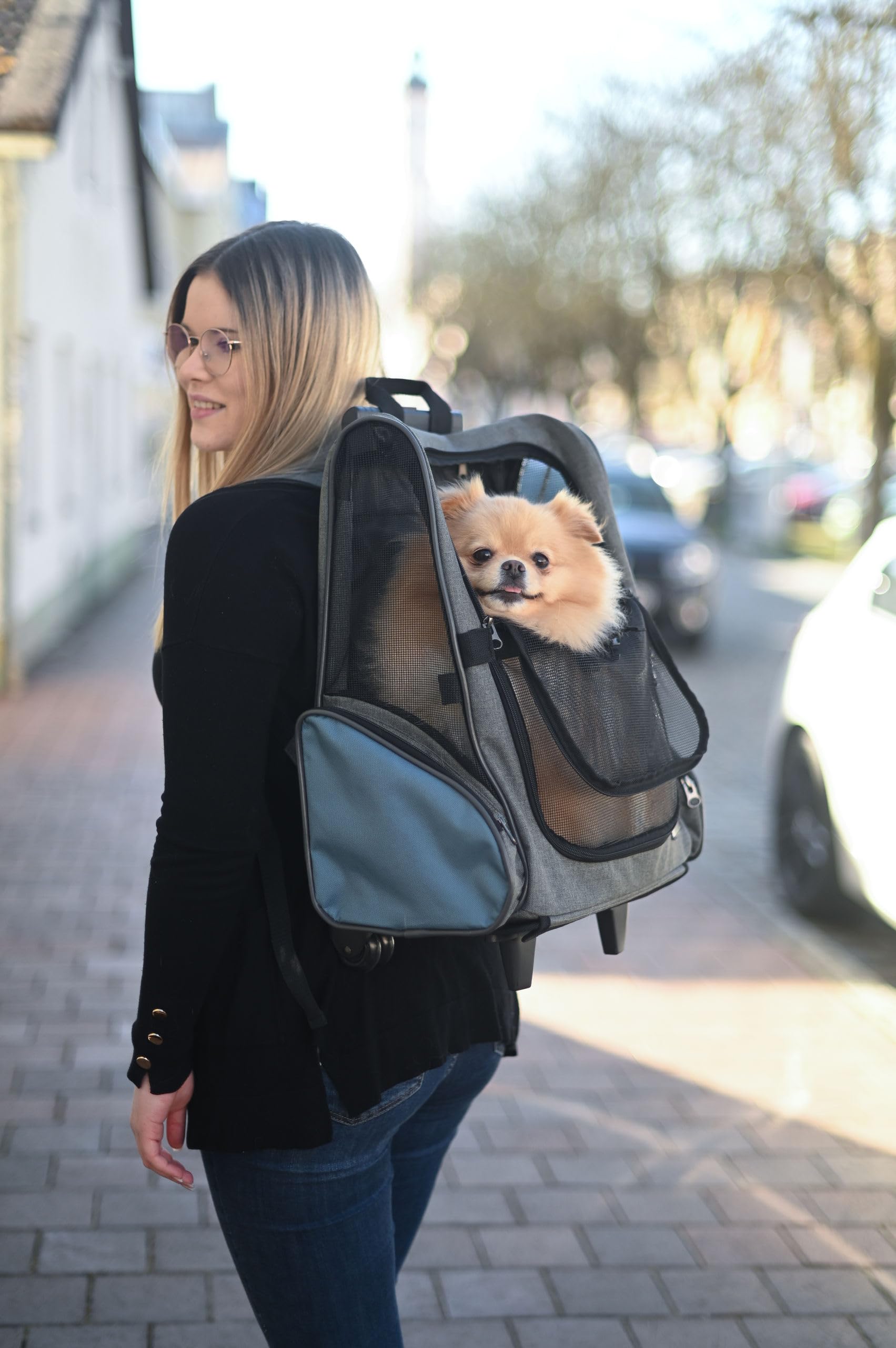 kerbl-pet-vacation-chariot-de-transport-pour-chien-et-chat-41x26x55-cm-gris-bleu image 2
