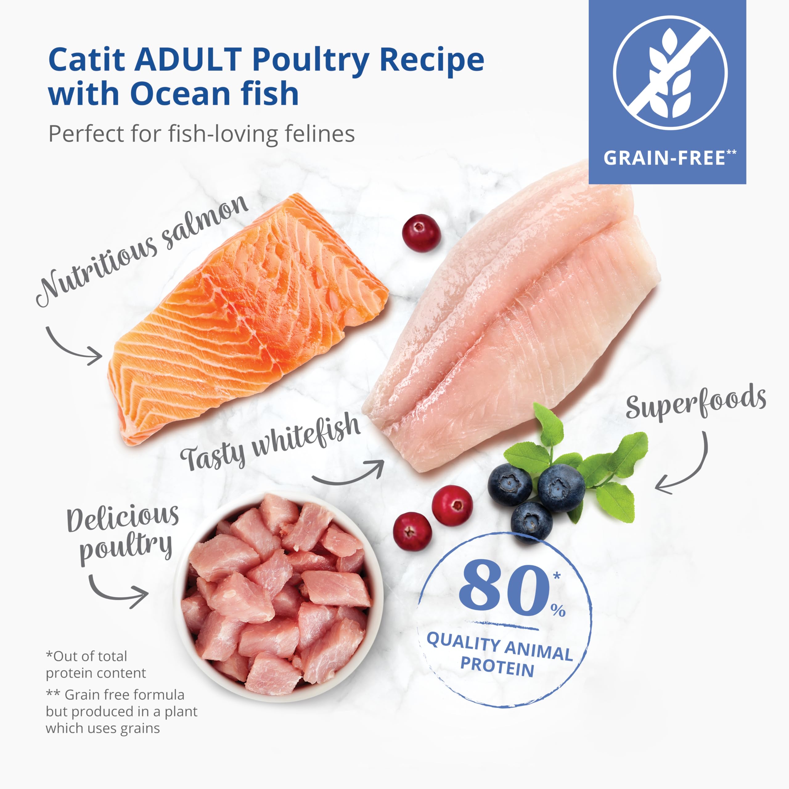 catit-recipes-adulte-poisson-de-mer-2-kg-croquettes-sans-c-r-ales-pour-chat image 3