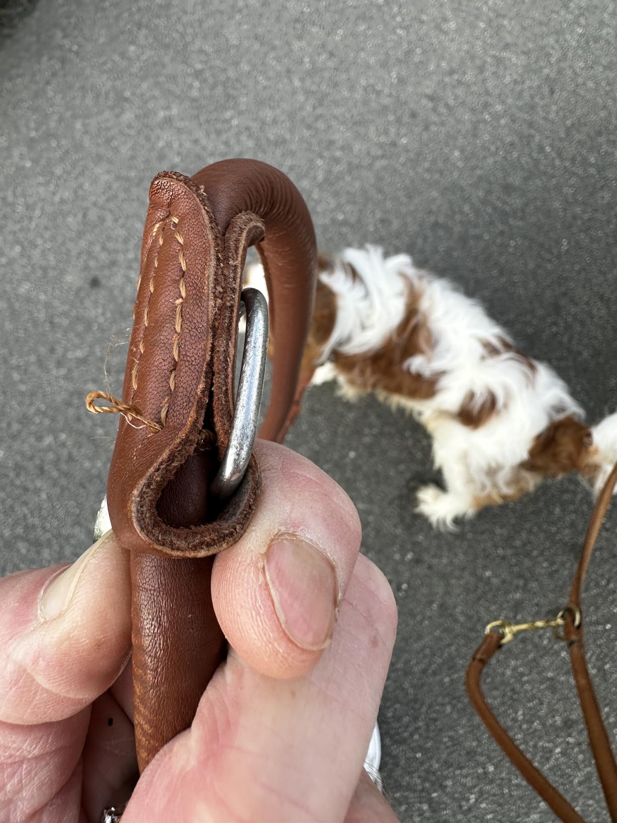 Bon achat, à entretenir
