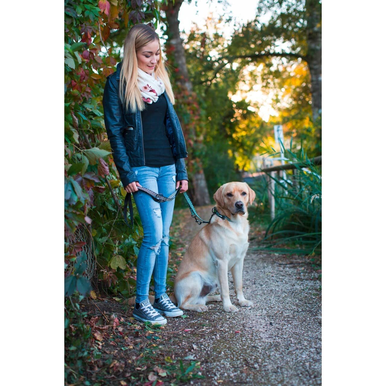 kerbl-shiny-night-laisse-longue-pour-chien-200-cm-20-mm-noir-blanc image 2