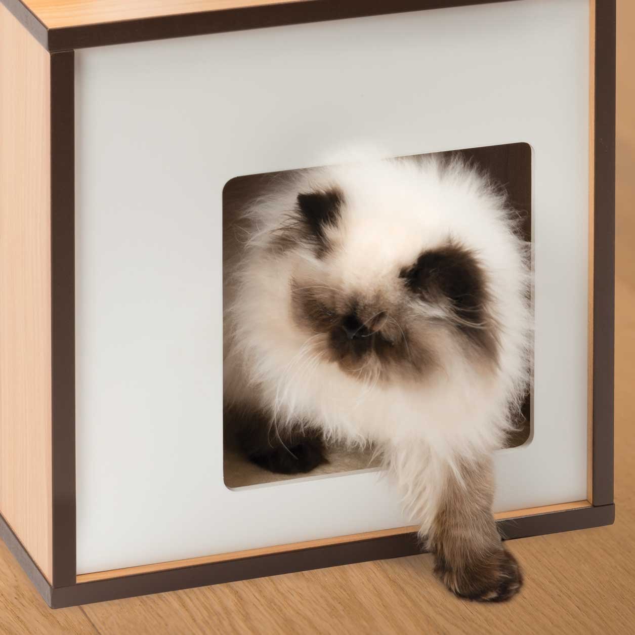 catit-vesper-box-naturel-taille-s-meuble-arbre-chat-compact image 3