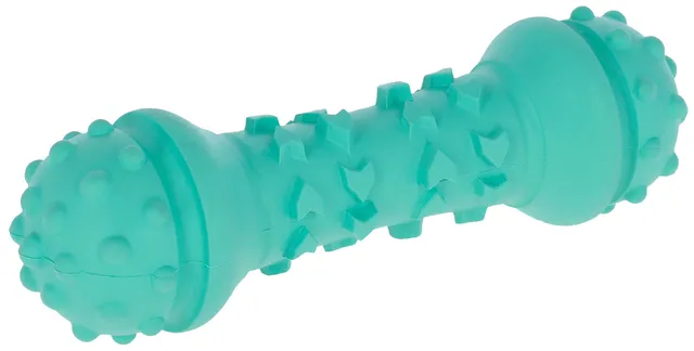 kerbl-toyfactic-halt-re-jouet-m-cher-pour-chien-turquoise-15-cm image 1