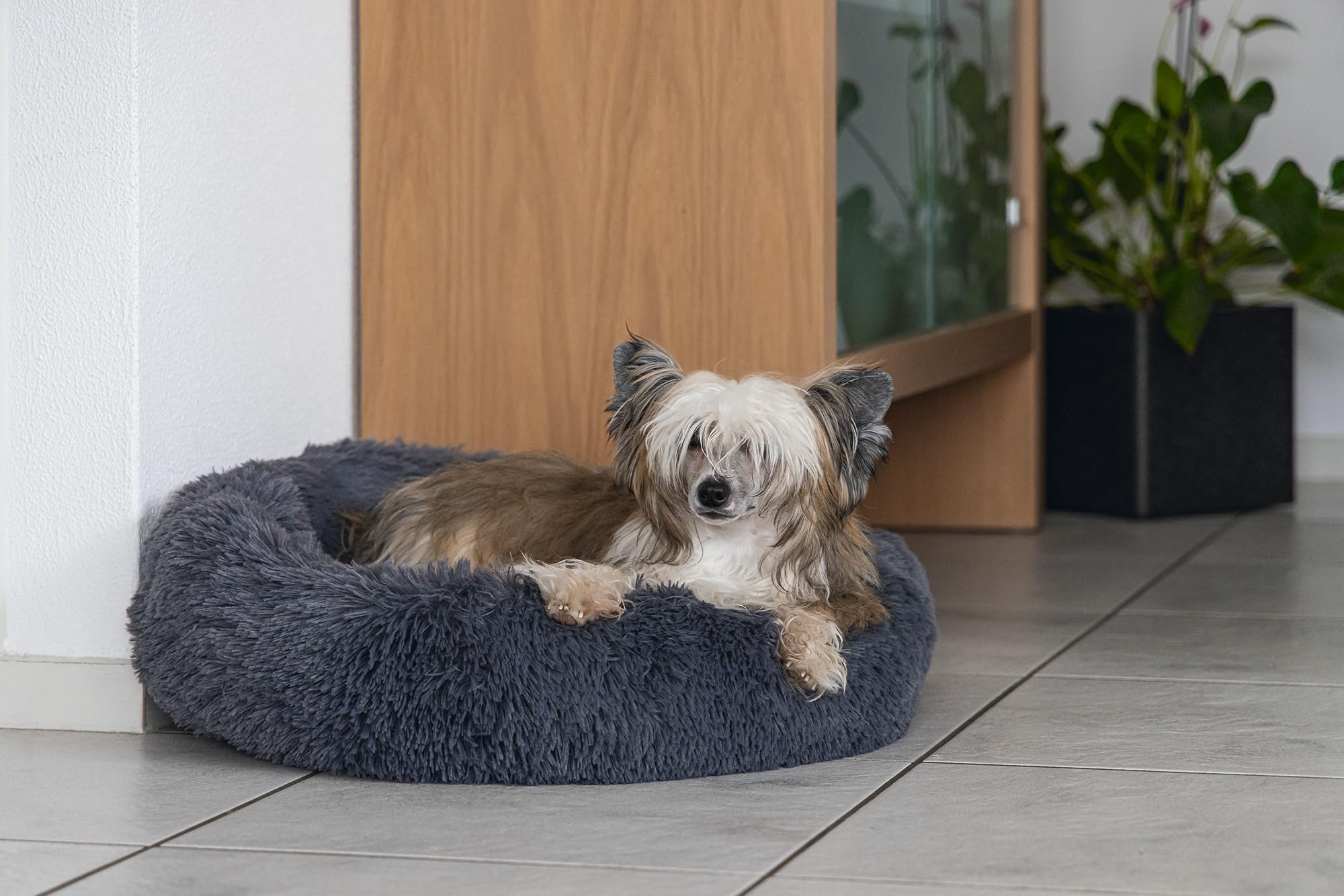 karlie-agnes-lit-pour-chien-58-5-x-14-cm-gris image 5