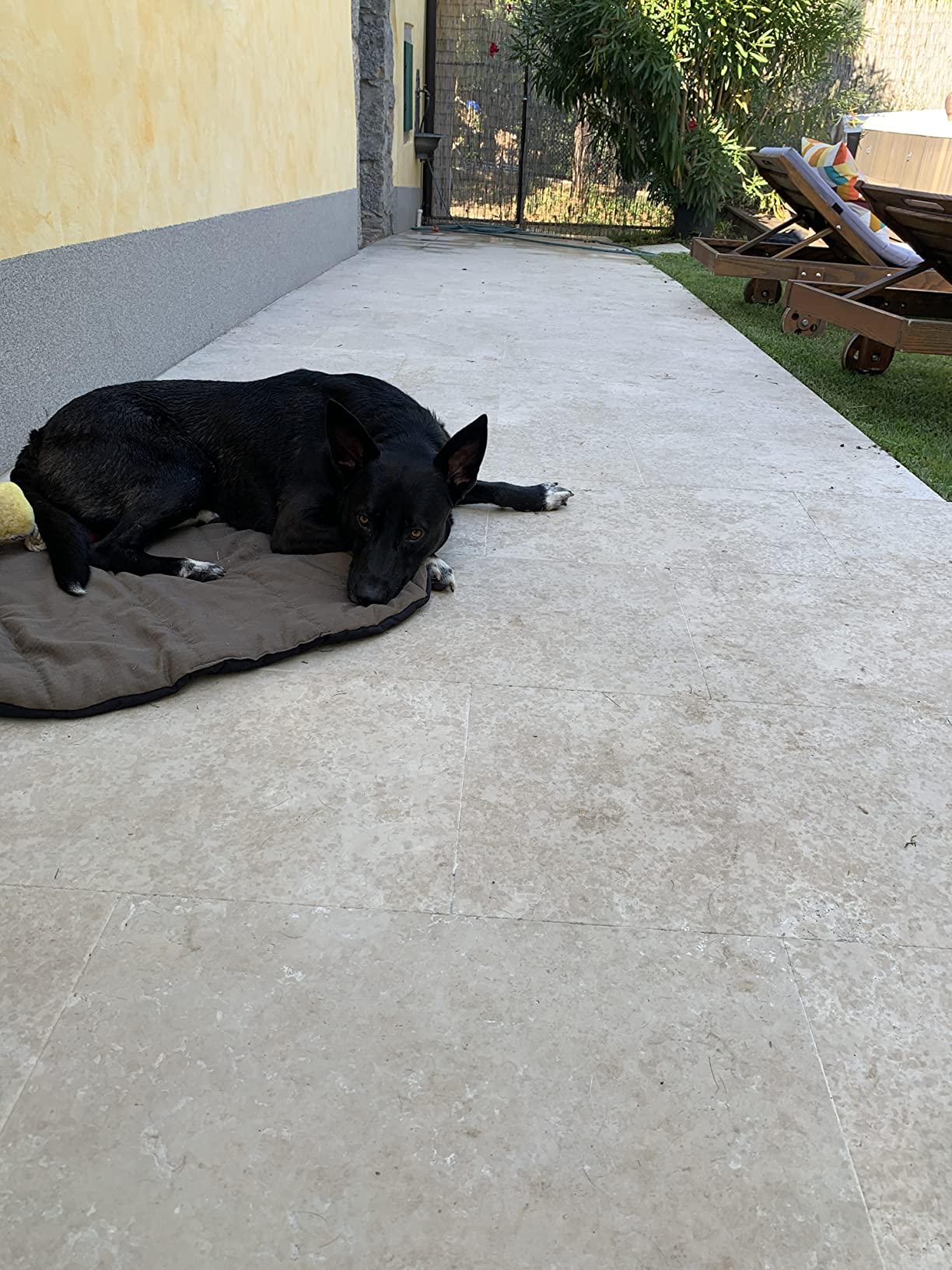 Mon chat l'a squatté